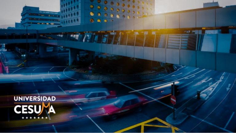 El Camino hacia la Electrificación del Transporte⁣