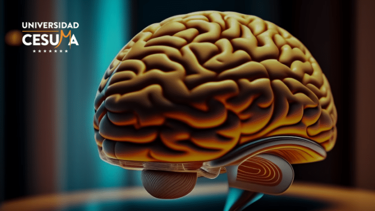 Neurociencia en la publicidad para campañas efectivas ⁣