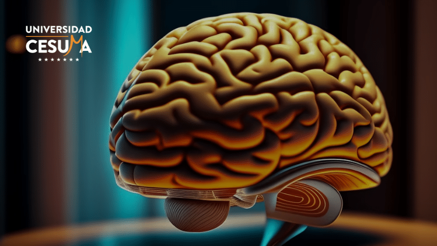 Neurociencia en la publicidad para campañas efectivas ⁣