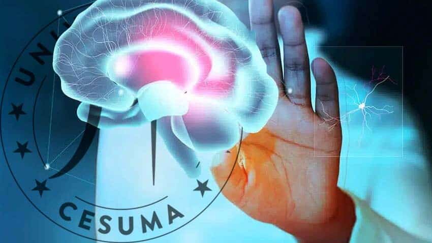 mano tocando cerebro digital