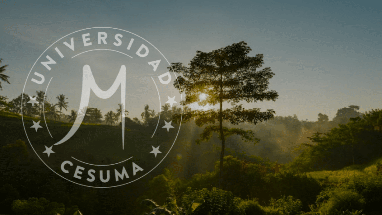 Energía Renovable y Justicia Social: Transformando Vidas y Comunidades⁣