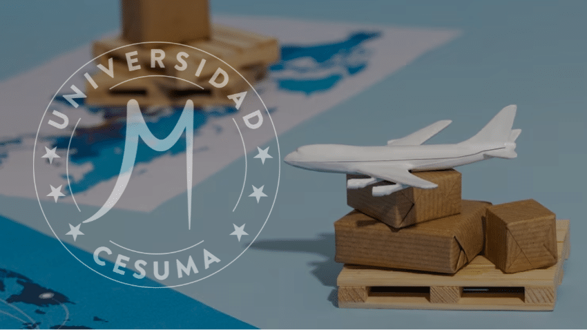 ¿El comercio internacional contribuye a la desigualdad? ⁣