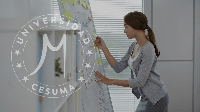 ¿Cuál es el perfil de un project manager?⁣