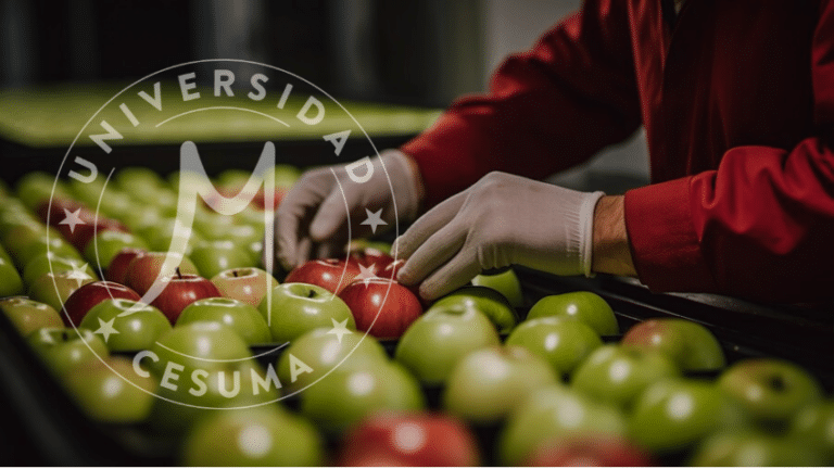 Seguridad Alimentaria en el Aula: Promoviendo la Conciencia y la Educación⁣