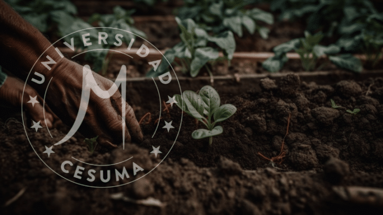 Agricultura Urbana: Abordando la Inseguridad Alimentaria en las Ciudades⁣