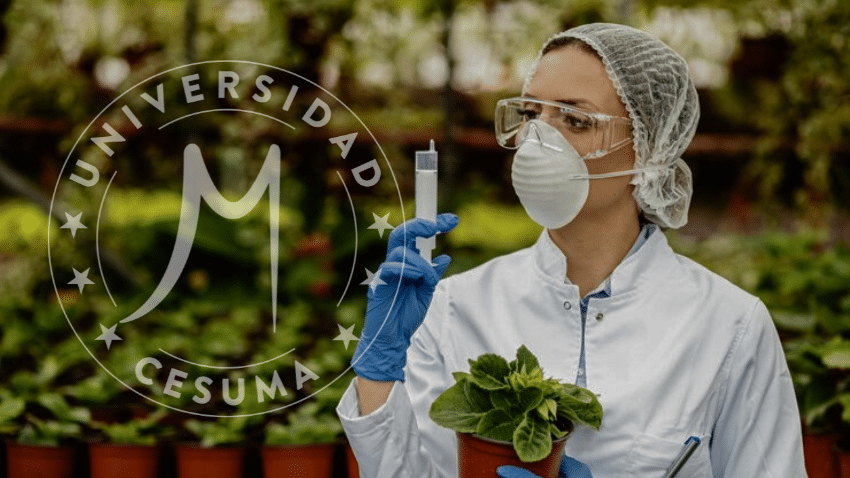 Tecnología en la Seguridad Alimentaria: Resolviendo Problemas con Innovación⁣