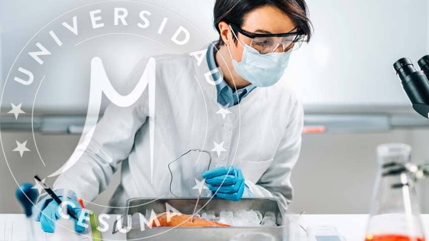 Inspector de seguridad alimentaria midiendo concentraciones de plomo, mercurio y cadmio en filete Inspector-de-seguridad-alimentaria-midiendo-concentraciones-de-plomo-mercurio-y-cadmio-en-filete.