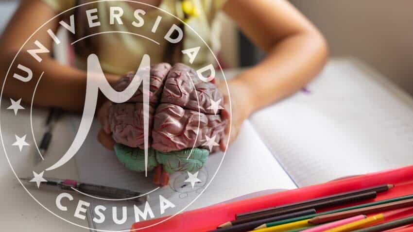 niña sosteniendo cerebro