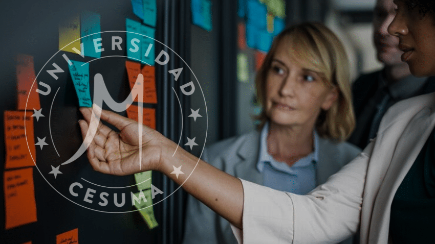 Cómo gestionar proyectos en un mundo cada vez más complejo