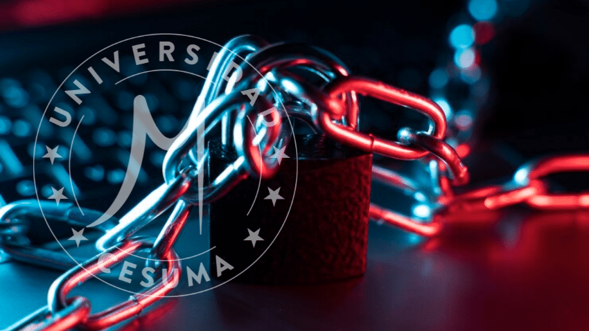 ¿Qué roles profesionales hay en ciberseguridad? ¿Qué roles profesionales hay en ciberseguridad?