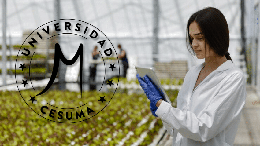 ¿Qué estudia la seguridad alimentaria?