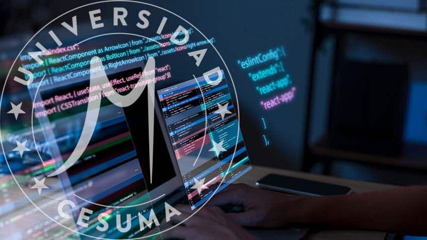 programador trabajando con códigos en la computadora programador trabajando con códigos en la computadora