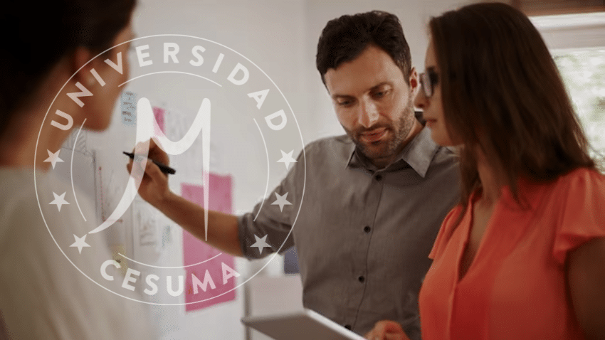 3 Roles del project management