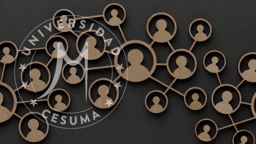 Las 10 Habilidades que Necesitas para Triunfar en Recursos Humanos