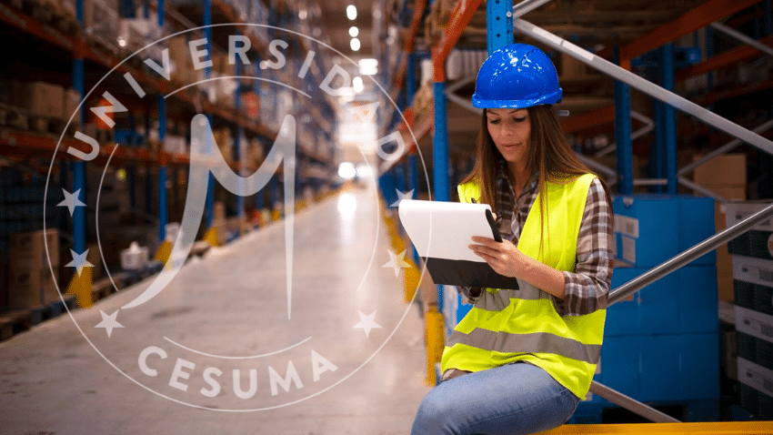 Los principales roles profesionales en comercio internacional