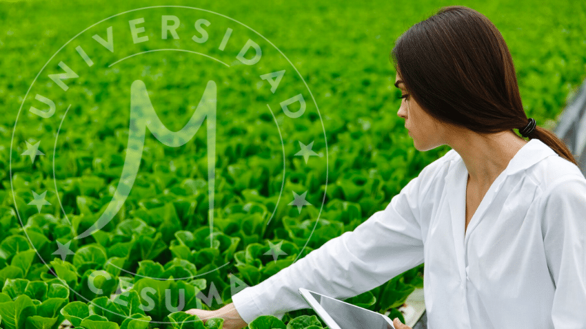 ¿Cuánto gana un profesional con una maestría en calidad, seguridad alimentaria, dietética y nutrición?