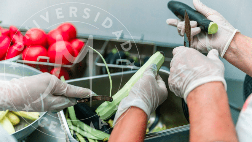 ¿Dónde puedes trabajar con una maestría en calidad, seguridad alimentaria, dietética y nutrición?