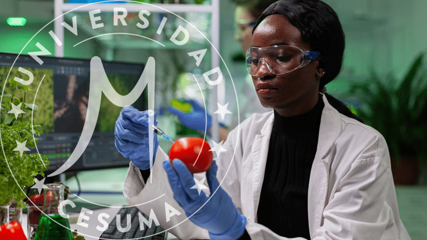 Investigador biólogo con guantes médicos inyectando tomate orgánico Investigador biólogo con guantes médicos inyectando tomate orgánico