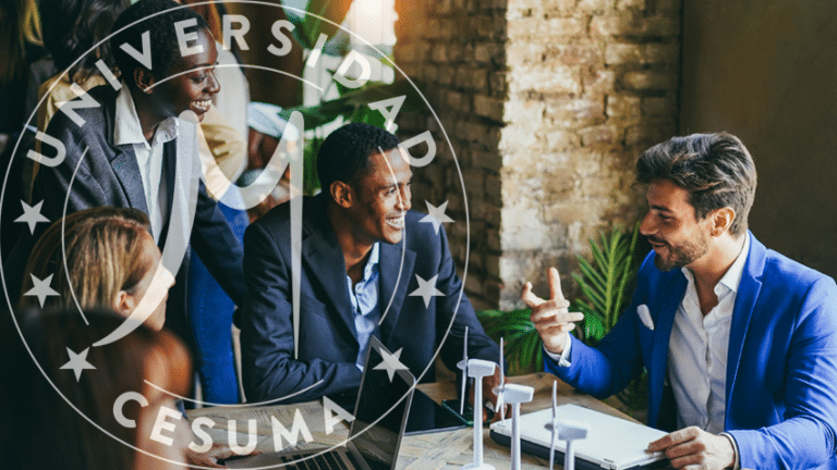 trabajan en un proyecto de innovación sostenible