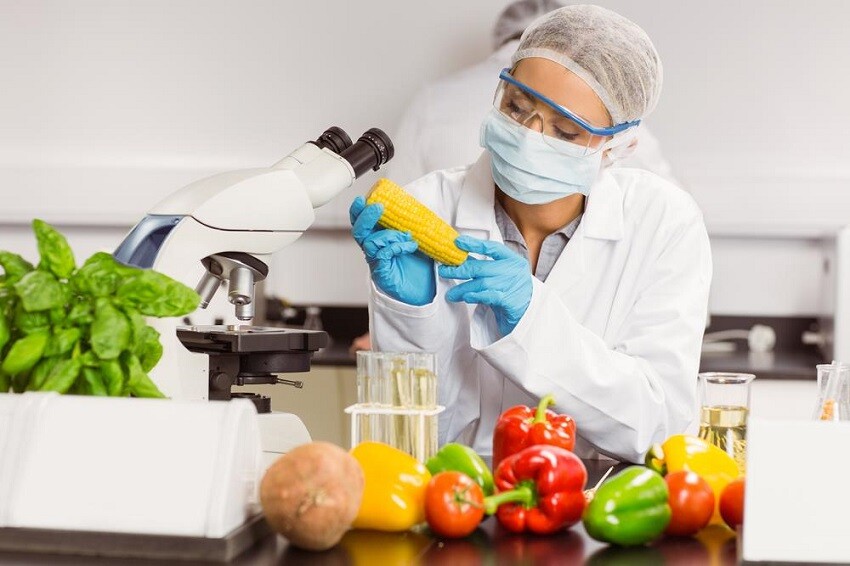 Maestrías y MBA Cientifico-de-alimentos-que-mira-la-mazorca-de-maiz La importancia de la higiene alimentaria  