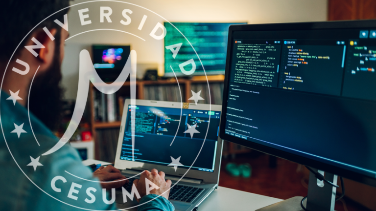 Científico de bases de datos introduce datos en su portátil