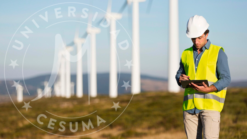 5 Casos de éxito en energías renovables 5 Casos de éxito en energías renovables