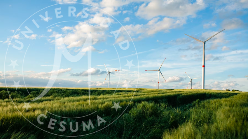 ¿Por qué las energías renovables son cruciales para el futuro del planeta? ¿Por qué las energías renovables son cruciales para el futuro del planeta?