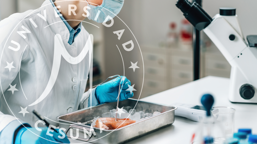 Inspector-de-seguridad-alimentaria-midiendo-concentraciones-de-metales-en-peces.