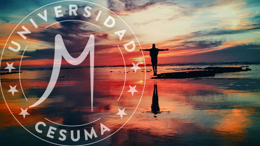 Persona disfrutando de atardecer