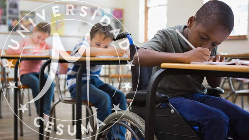 distintos alumnos escribiendo en escritorios en el aula