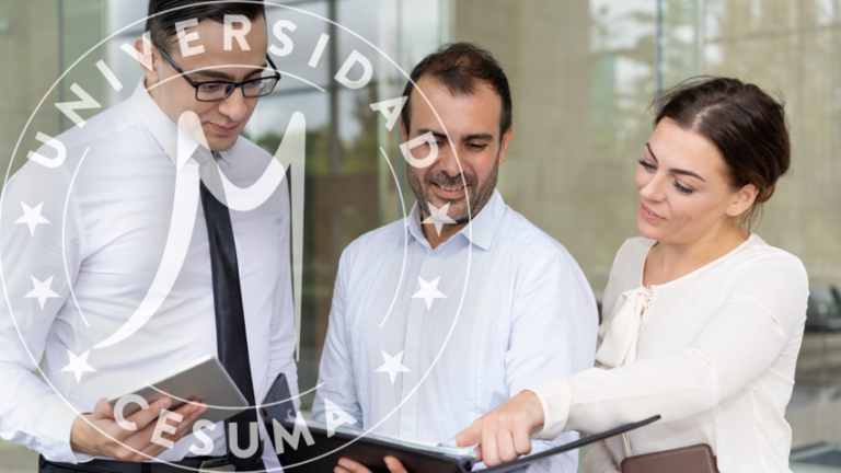 equipo organizando distribución de trabajo