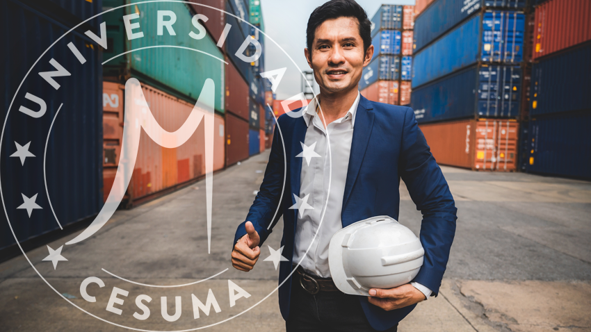 gerente de logística y transporte