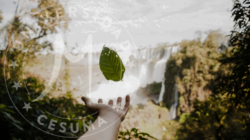 El rol del especialista ambiental en la sociedad moderna El rol del especialista ambiental en la sociedad moderna