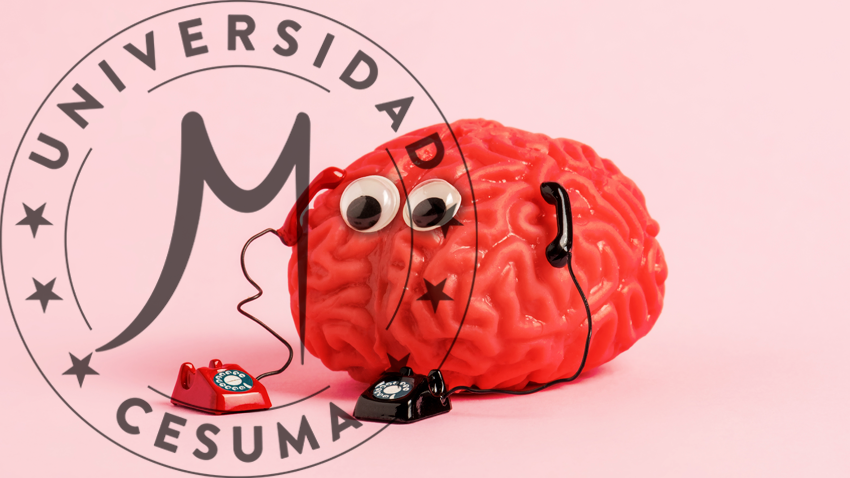 Modelo de cerebro humano con dos teléfonos Modelo de cerebro humano con dos teléfonos