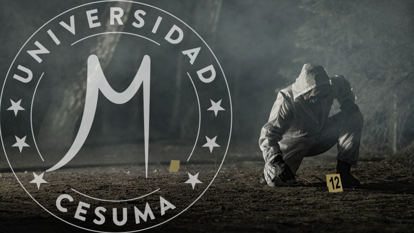 perito tomando evidencia de un crimen perito tomando evidencia de un crimen