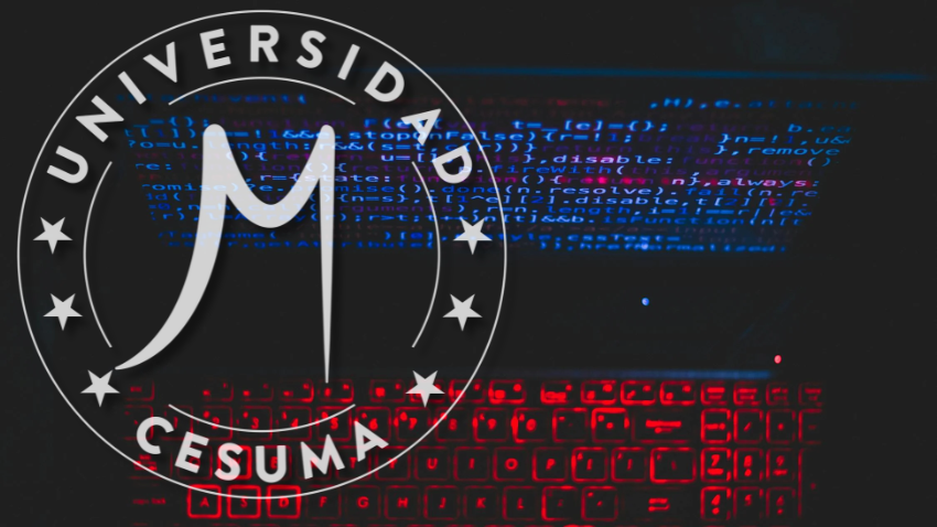 ¿Qué tipos de ciberseguridad existen?