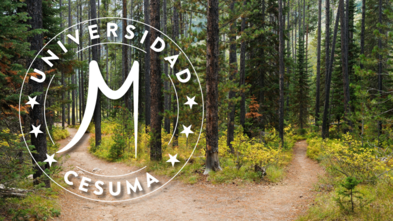 Consideraciones para el discernimiento