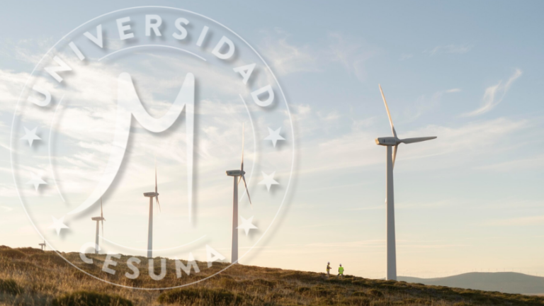 Energía eólica para un futuro sostenible