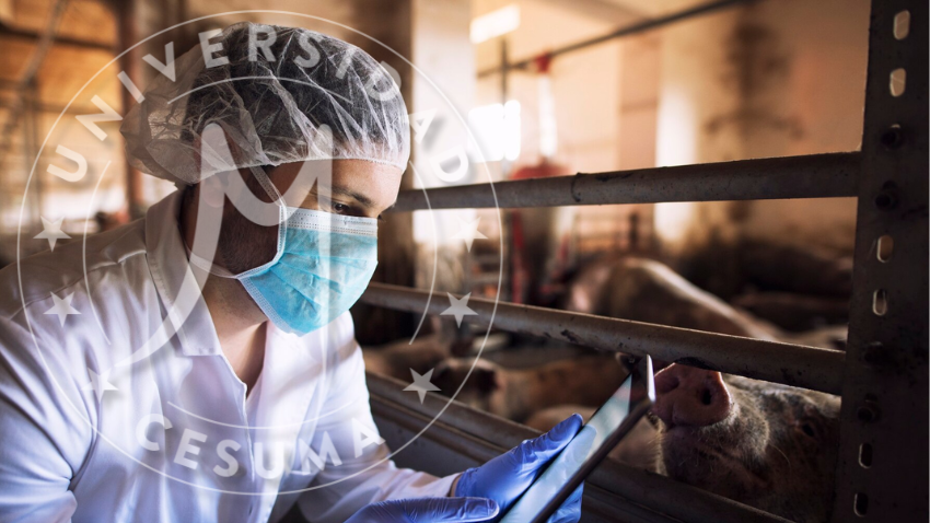 Normativas de calidad alimentaria Normativas de calidad alimentaria