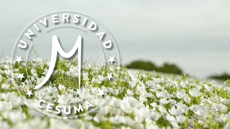 La dimensión trascendental