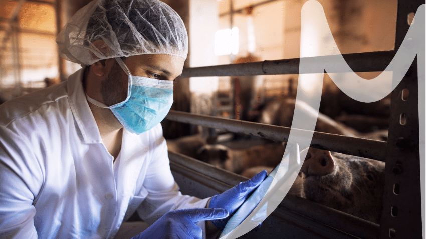 Imágenes de CESUMANormativas internacionales de seguridad alimentaria: esto es lo que necesitas saber Normativas internacionales de seguridad alimentaria: esto es lo que necesitas saber