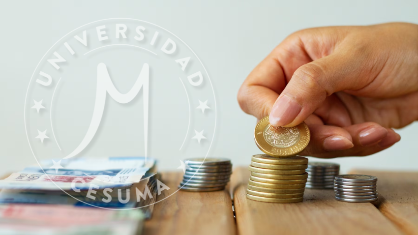 Cómo elaborar un presupuesto de capital: pasos y recomendaciones Cómo elaborar un presupuesto de capital: pasos y recomendaciones