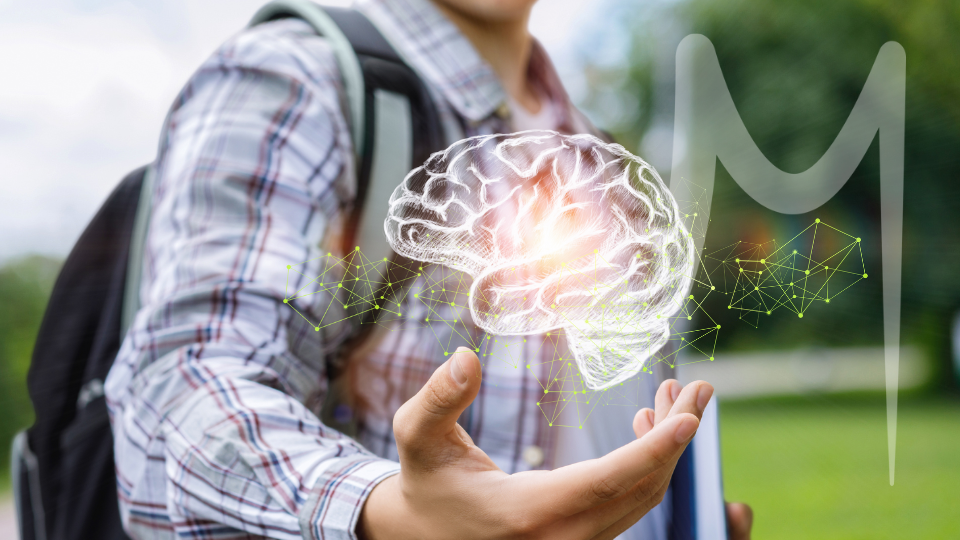 Maestrías y MBA 1-1 La Neurociencia en el aula: técnicas para mejorar la comprensión