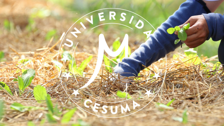 600 millones de afectados: el desafío global de la seguridad alimentaria