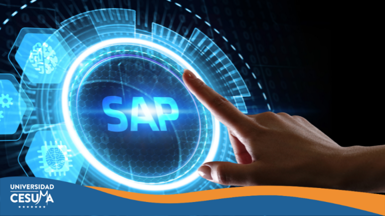 ¿Cómo optimizar los procesos en tu organización?