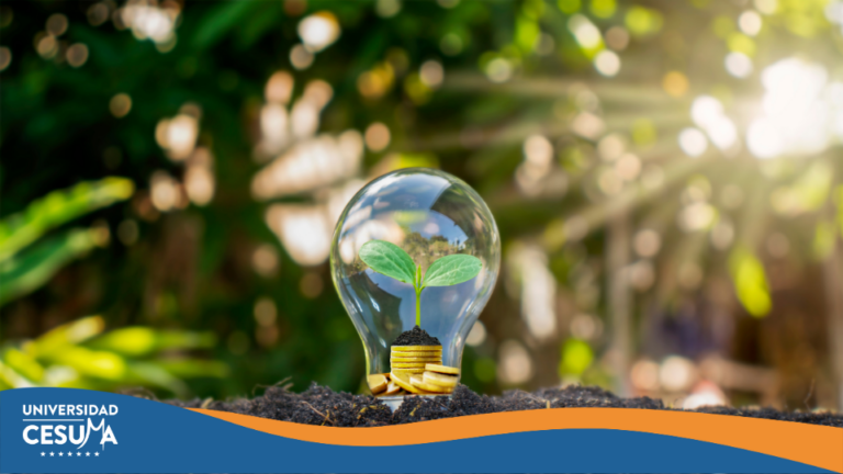 ¿De qué forma las energías renovables se enseñan en clase?