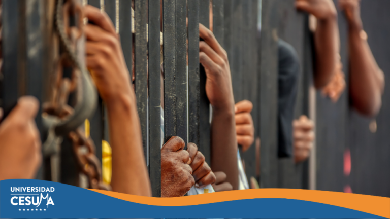 Estudiar derecho para impactar en la educación social