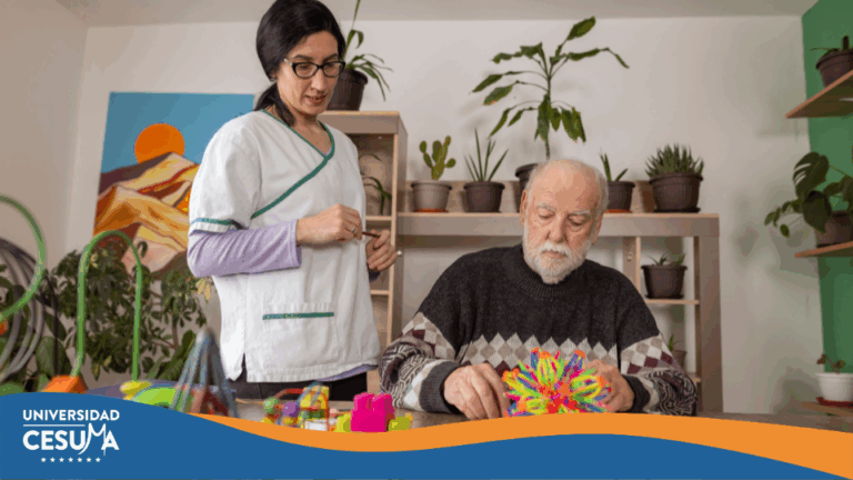 El cerebro y su relación con el aprendizaje