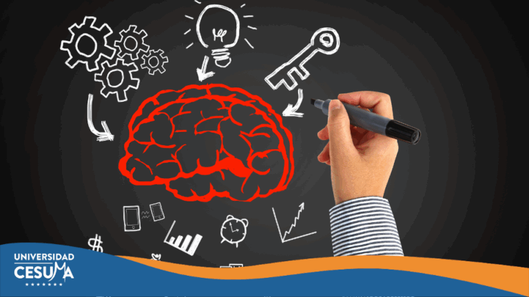 ¿Cómo se forma un pensamiento en el cerebro humano?