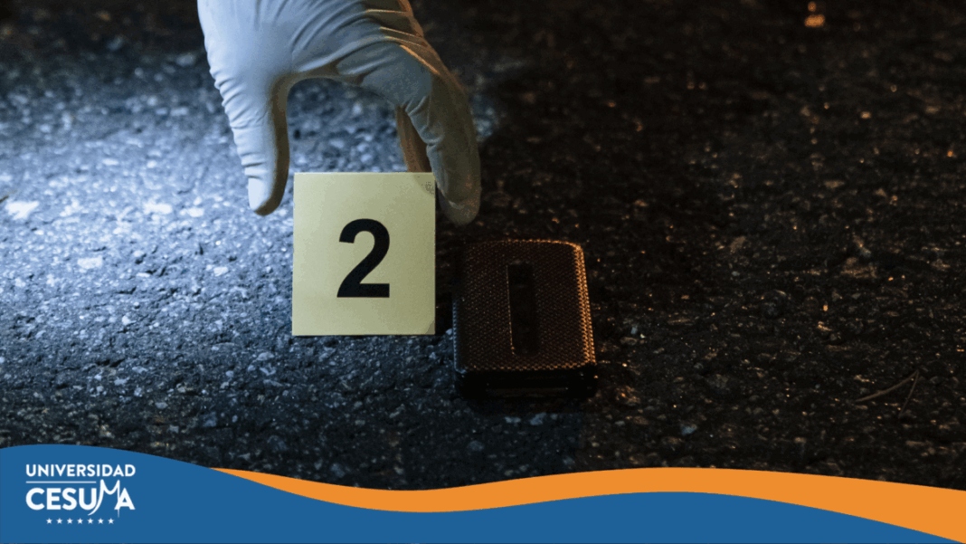 Copia de Actividad de diseño IMÁGENES.